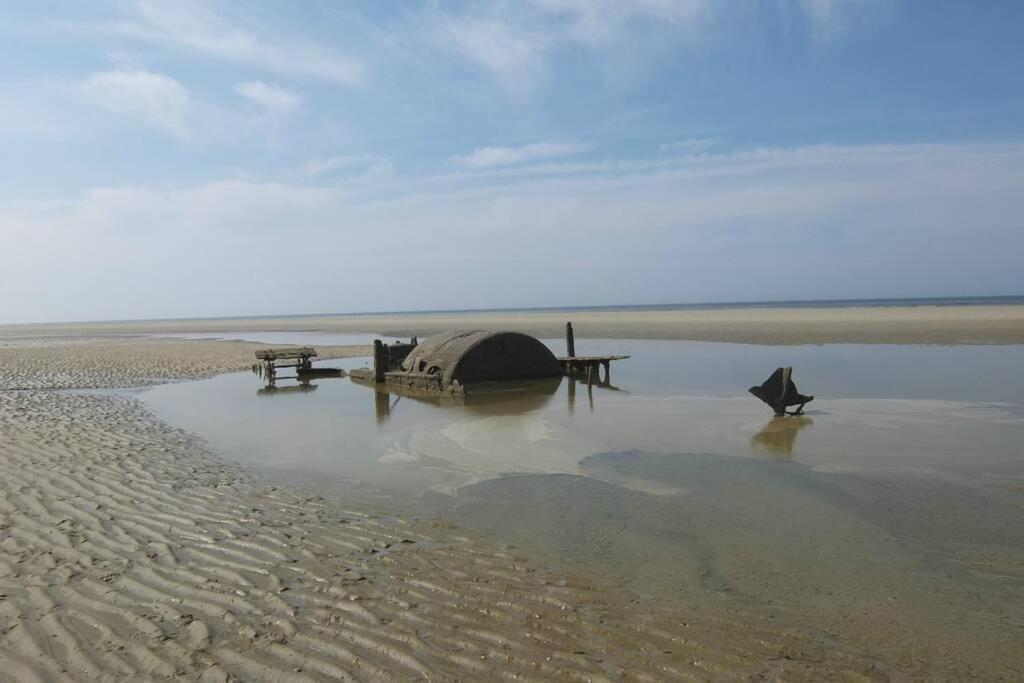 Gite « Les Oyats » A 400 M De La Plage エキアン・プラージュ エクステリア 写真
