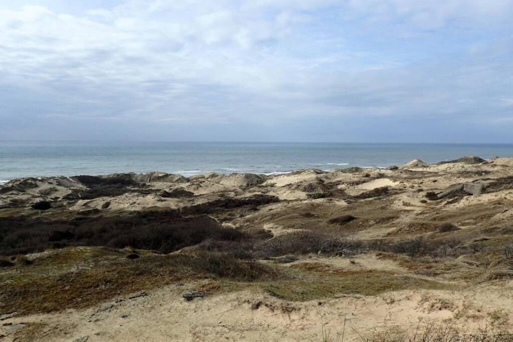 Gite « Les Oyats » A 400 M De La Plage エキアン・プラージュ エクステリア 写真